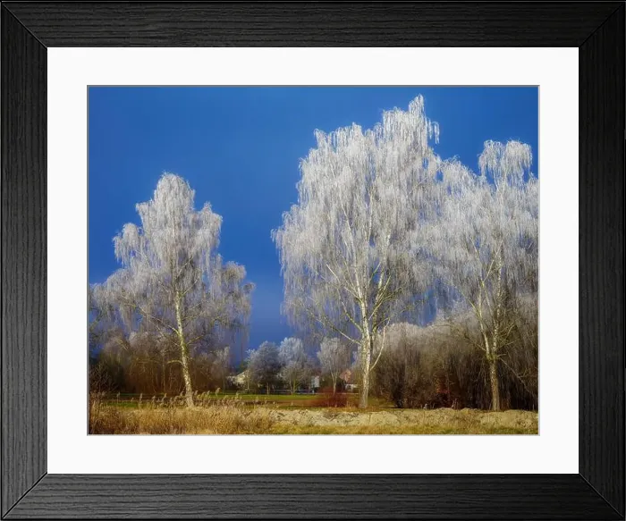 Framed Print : 2s6kjjk Framed Print : 2s6kjjk