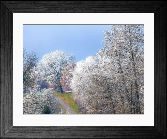 Framed Print : 2s6kjjn Framed Print : 2s6kjjn