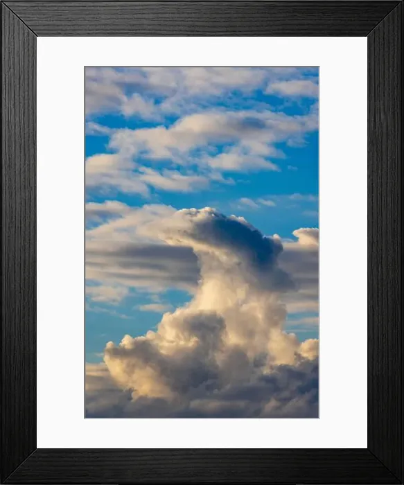 Framed Print : 2s700na Framed Print : 2s700na