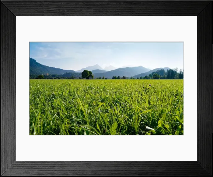 Framed Print : 2s71txp Framed Print : 2s71txp