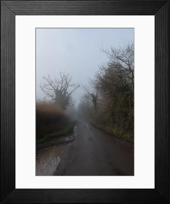 Framed Print : 2s7hb9y Framed Print : 2s7hb9y