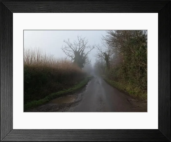 Framed Print : 2s7hbax Framed Print : 2s7hbax