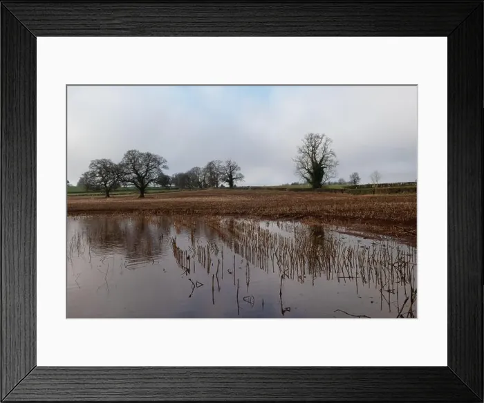Framed Print : 2s7hbk8 Framed Print : 2s7hbk8