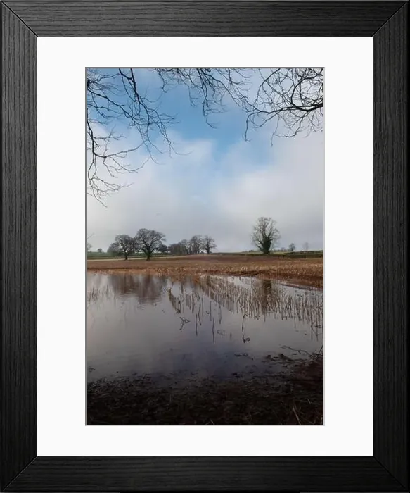 Framed Print : 2s7hbw9 Framed Print : 2s7hbw9