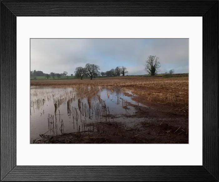 Framed Print : 2s7hc2w Framed Print : 2s7hc2w