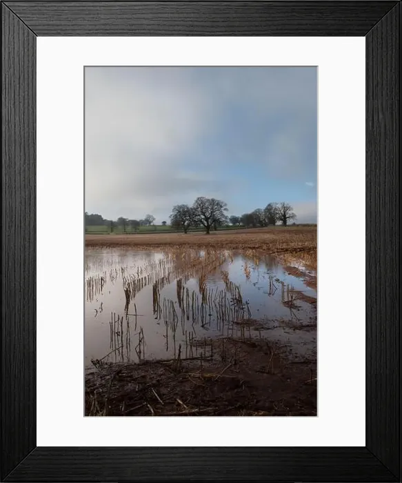 Framed Print : 2s7hc5j Framed Print : 2s7hc5j