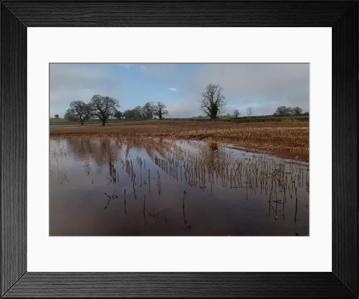 Framed Print : 2s7hc66 Framed Print : 2s7hc66
