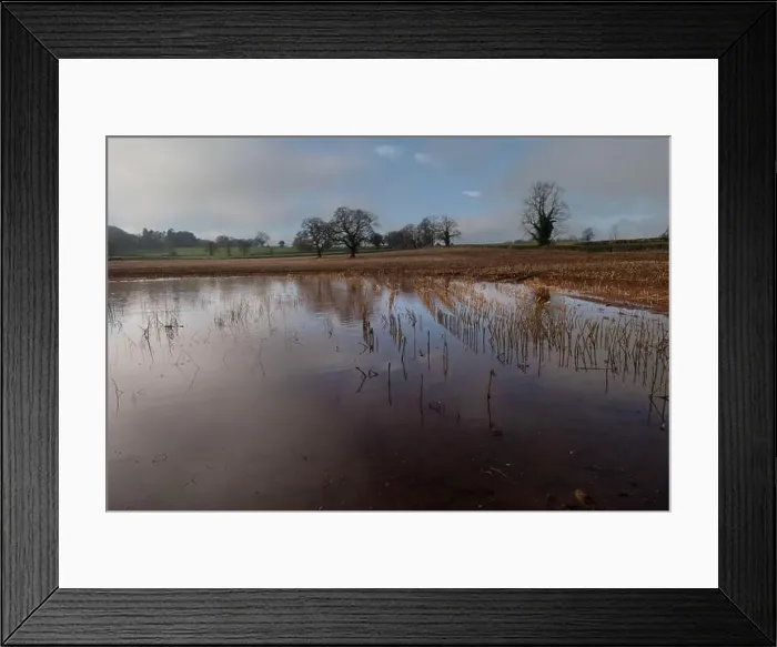 Framed Print : 2s7hc75 Framed Print : 2s7hc75