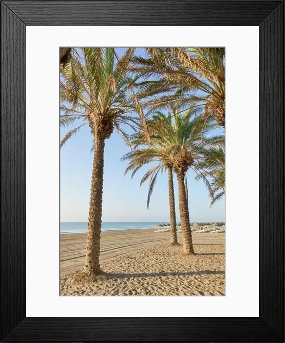 Framed Print : 2s7t89p Framed Print : 2s7t89p