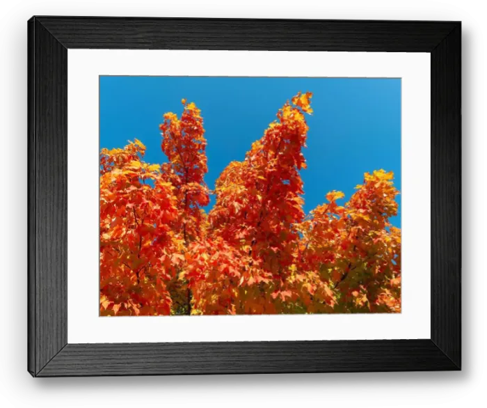 Framed Print : 2s80ccm Framed Print : 2s80ccm
