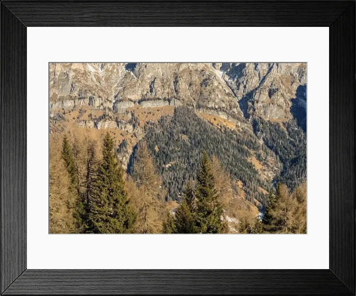 Framed Print : 2s826rj Framed Print : 2s826rj