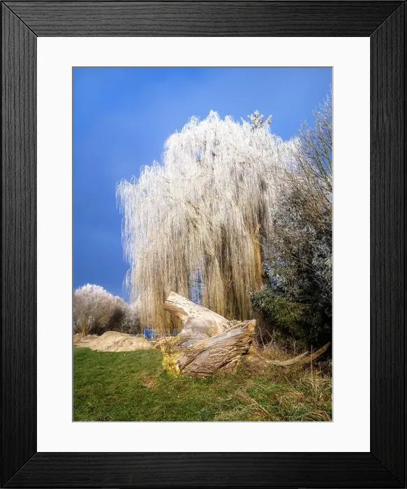 Framed Print : 2s826tr Framed Print : 2s826tr