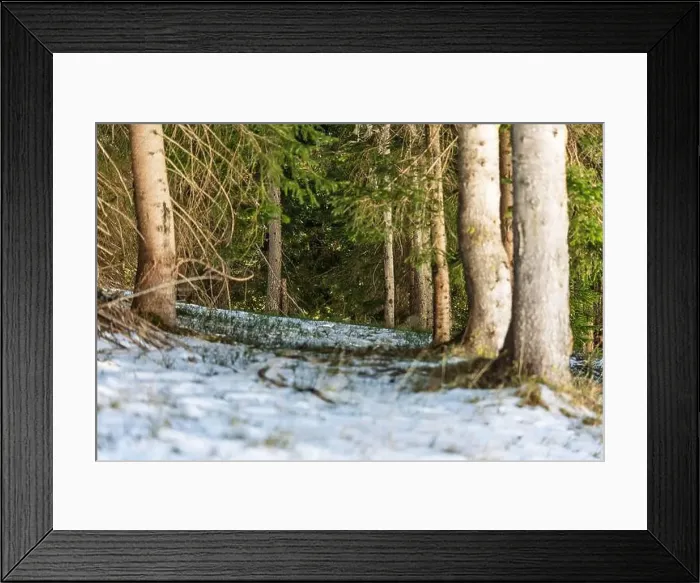 Framed Print : 2s8272b Framed Print : 2s8272b