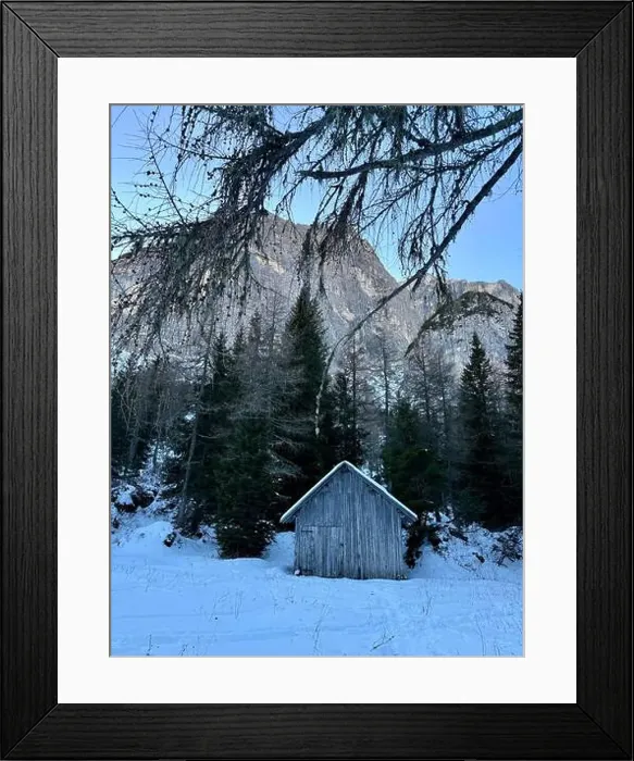 Framed Print : 2s8276x Framed Print : 2s8276x