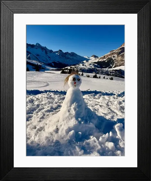 Framed Print : 2s8279b Framed Print : 2s8279b