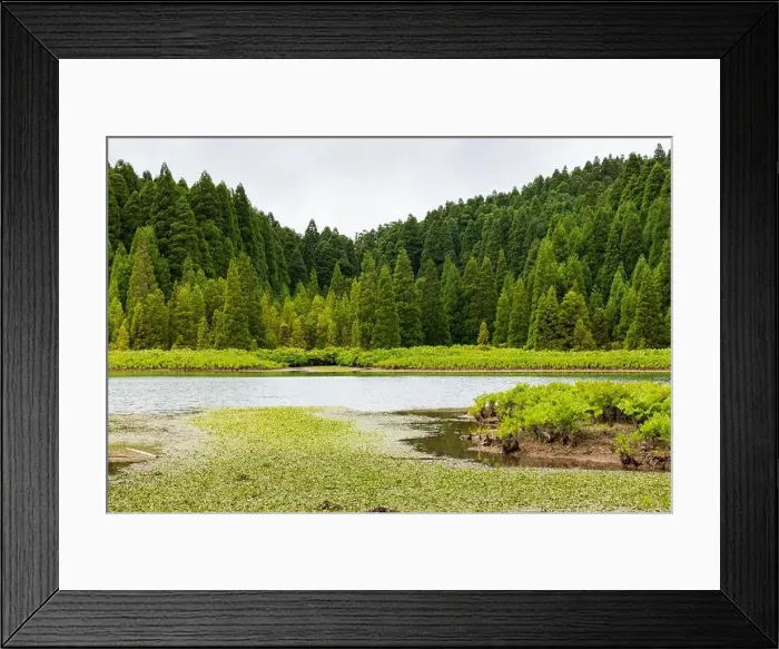Framed Print : 2s843b7 Framed Print : 2s843b7