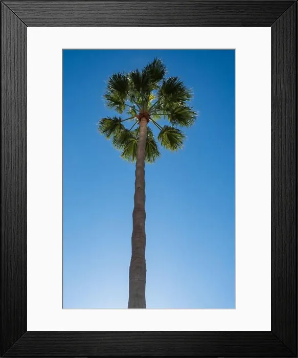 Framed Print : 2s88c20 Framed Print : 2s88c20