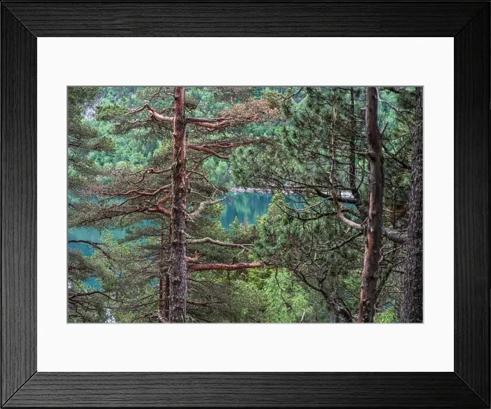 Framed Print : 2s8b35r