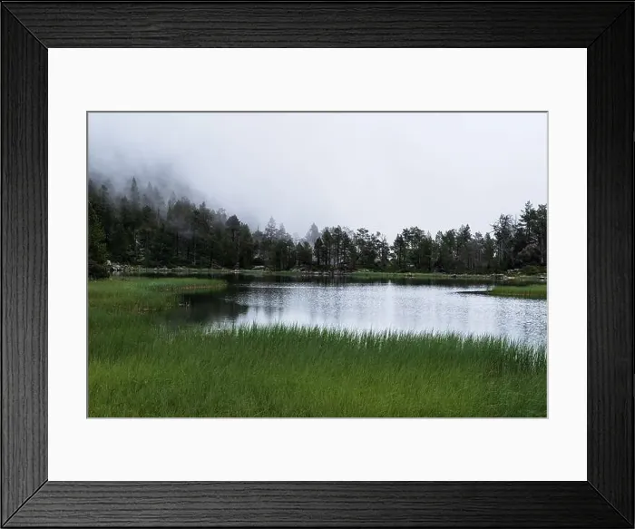 Framed Print : 2s8b35y