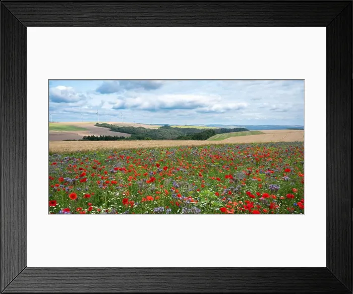 Framed Print : 2s8cwbr Framed Print : 2s8cwbr