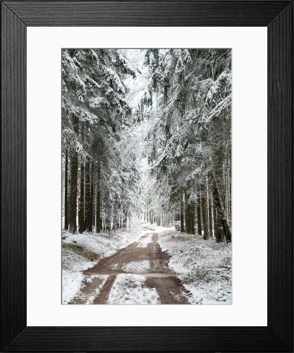 Framed Print : 2s8cwjw Framed Print : 2s8cwjw