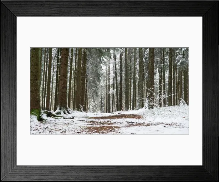 Framed Print : 2s8cww5 Framed Print : 2s8cww5