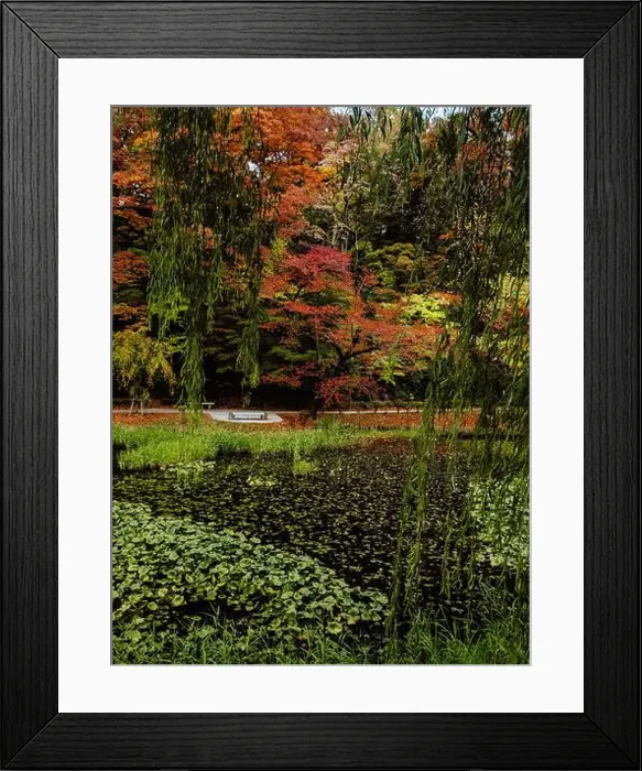 Framed Print : 2s8d73w Framed Print : 2s8d73w