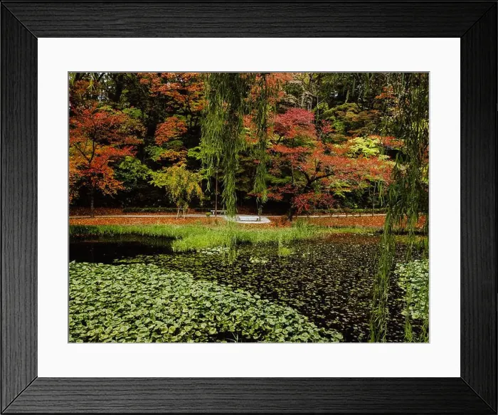 Framed Print : 2s8d741 Framed Print : 2s8d741