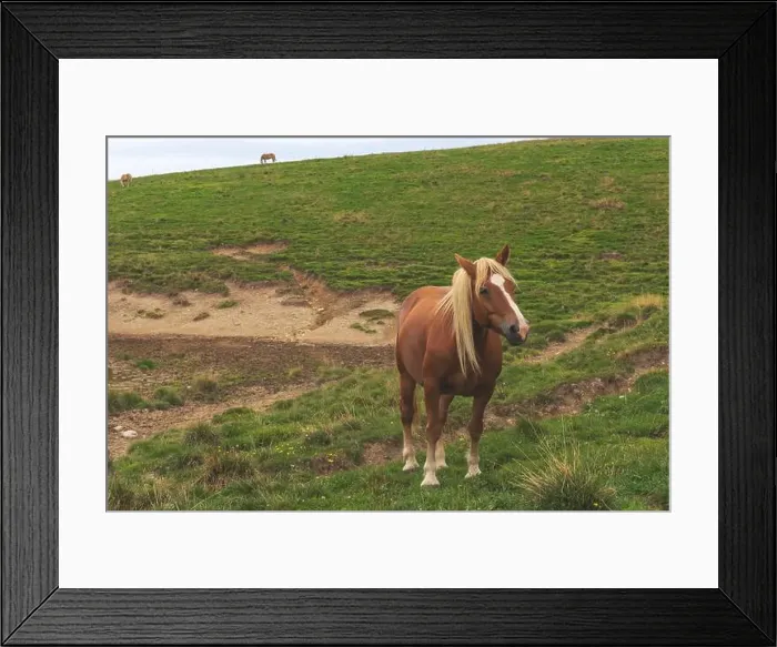Framed Print : 2s8ek7e Framed Print : 2s8ek7e