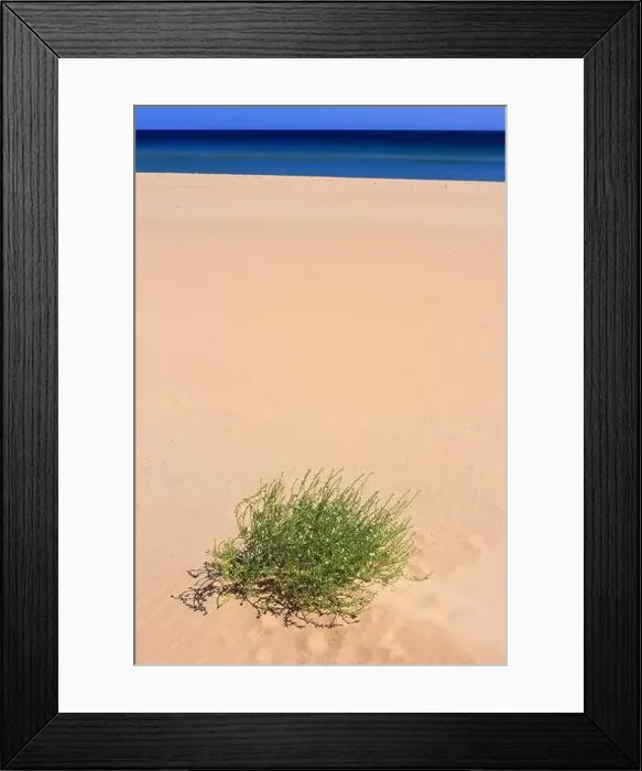 Framed Print : 2s8g7x6 Framed Print : 2s8g7x6