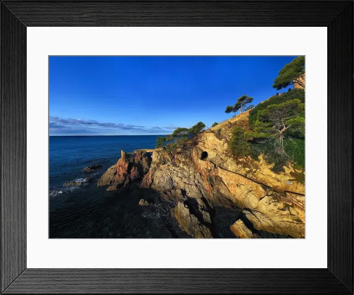 Framed Print : 2s8gc9h Framed Print : 2s8gc9h