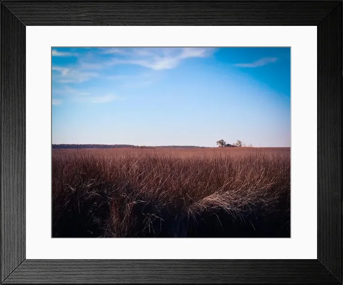 Framed Print : 2s8j9w8