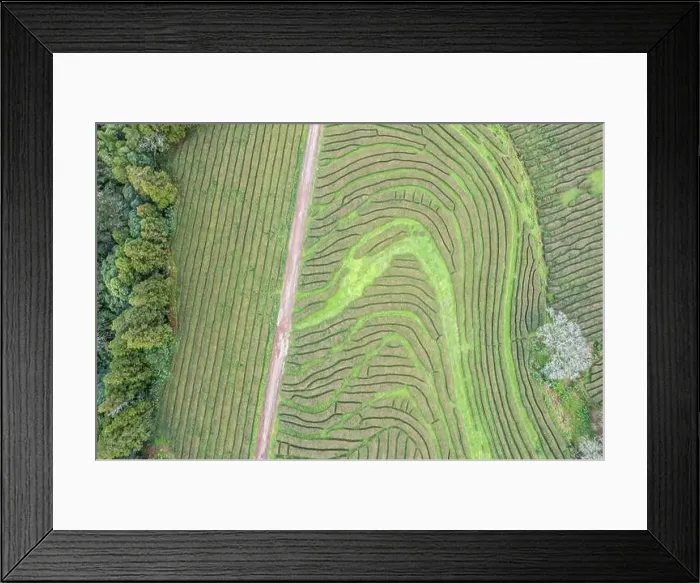 Framed Print : 2s8maj9 Framed Print : 2s8maj9