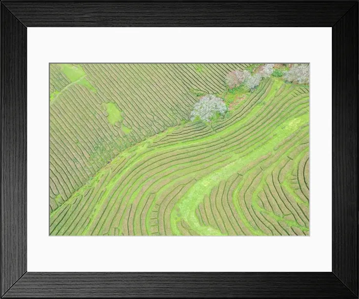 Framed Print : 2s8maja Framed Print : 2s8maja