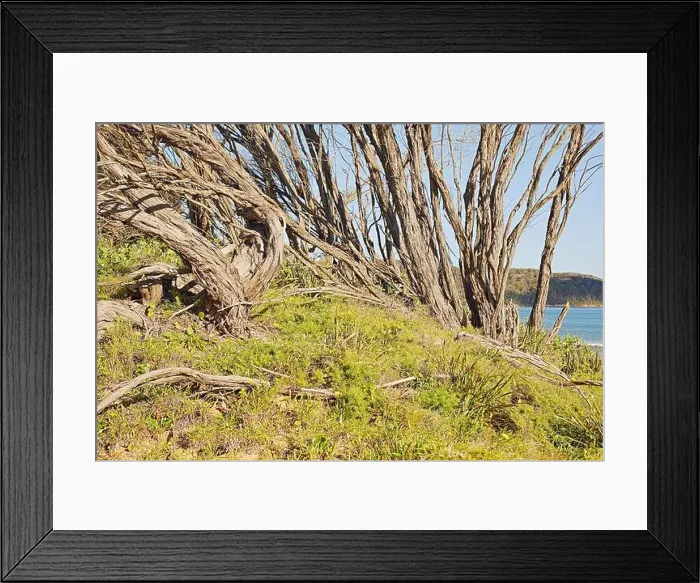 Framed Print : 2s8pa23 Framed Print : 2s8pa23