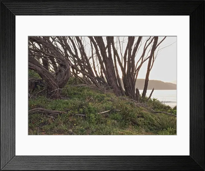 Framed Print : 2s8pa7k Framed Print : 2s8pa7k