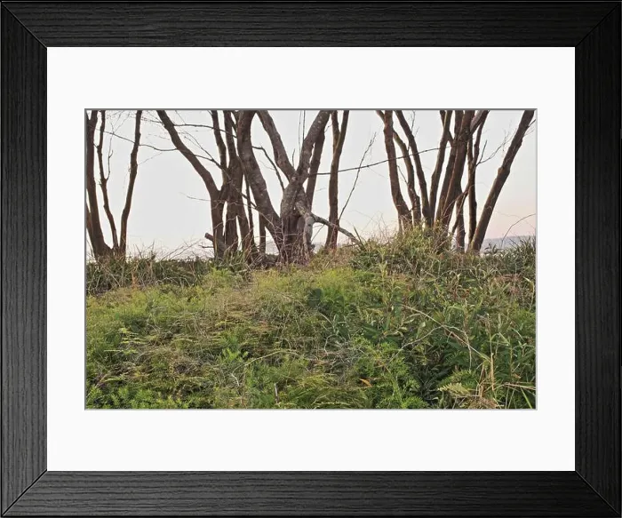 Framed Print : 2s8pa9r Framed Print : 2s8pa9r
