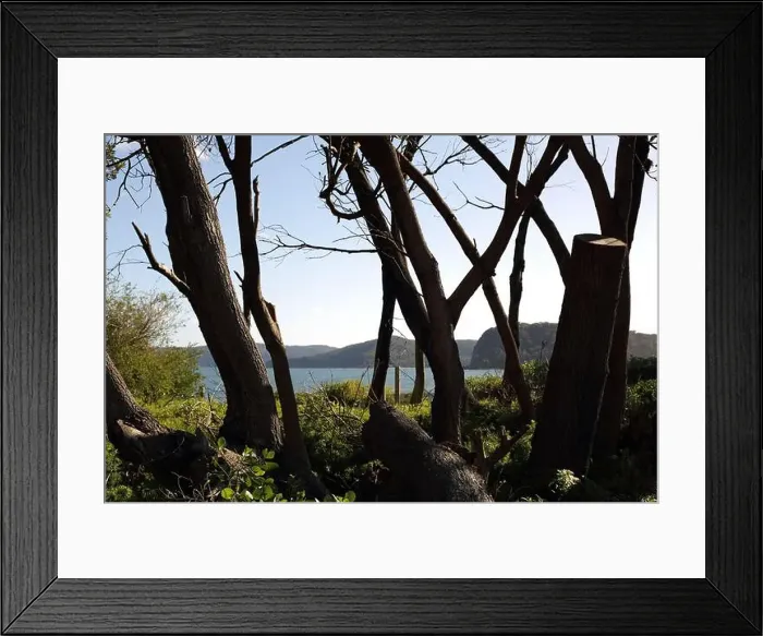 Framed Print : 2s8paak