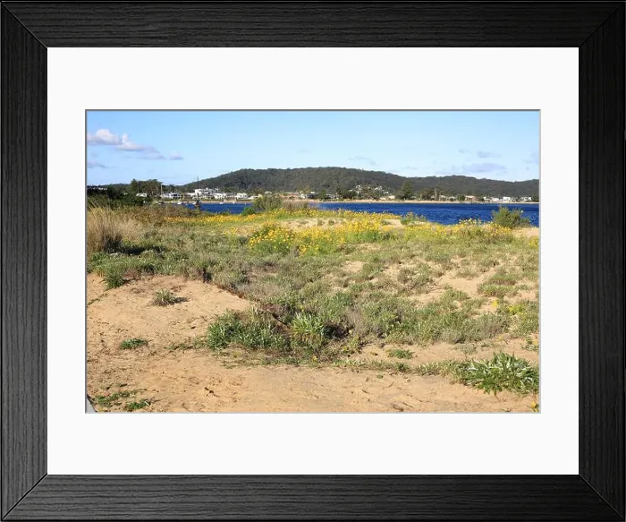 Framed Print : 2s8paap Framed Print : 2s8paap