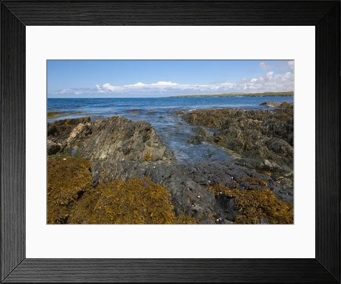Framed Print : 2s8t4d4 Framed Print : 2s8t4d4