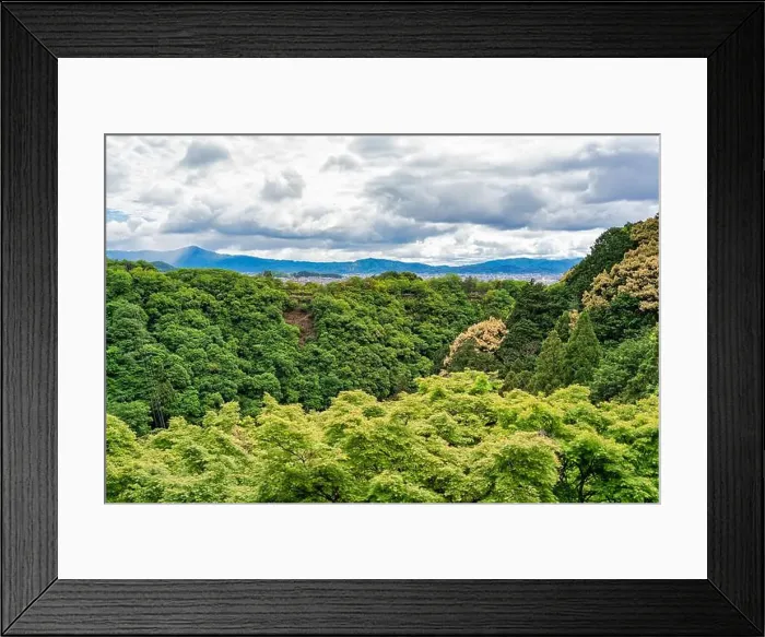 Framed Print : 2s90663 Framed Print : 2s90663