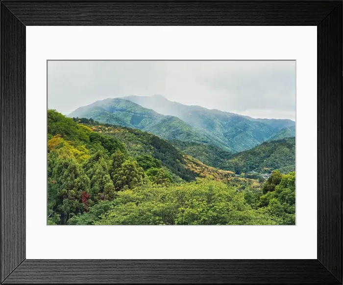 Framed Print : 2s90955 Framed Print : 2s90955