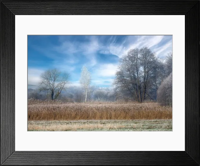 Framed Print : 2s9973e Framed Print : 2s9973e