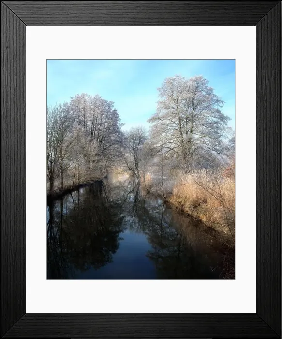 Framed Print : 2s9973t Framed Print : 2s9973t
