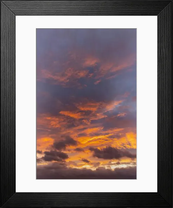 Framed Print : 2s99hg4 Framed Print : 2s99hg4