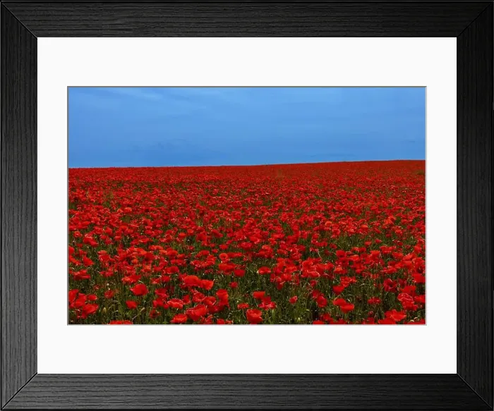 Framed Print : 2s99x3p Framed Print : 2s99x3p