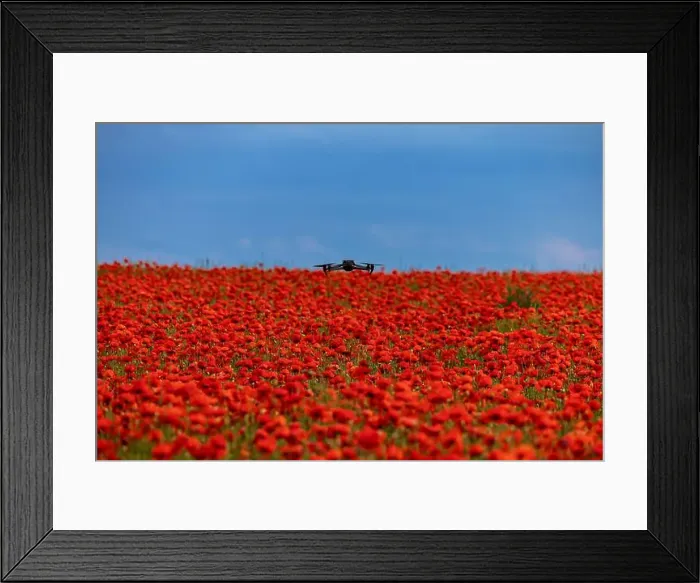 Framed Print : 2s99x7p Framed Print : 2s99x7p