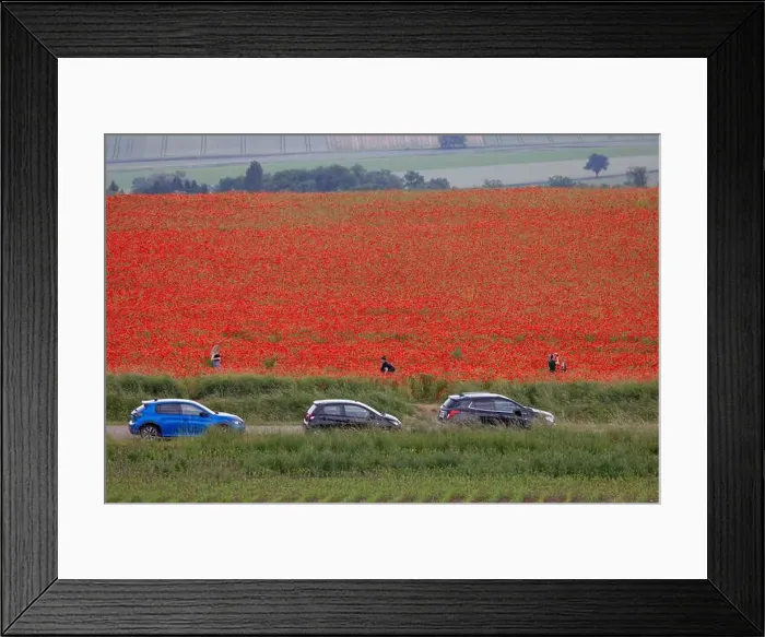 Framed Print : 2s99x8b Framed Print : 2s99x8b