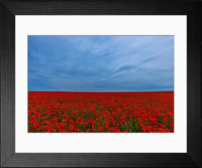 Framed Print : 2s99xbt Framed Print : 2s99xbt