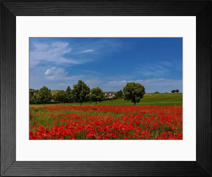 Framed Print : 2s99xca